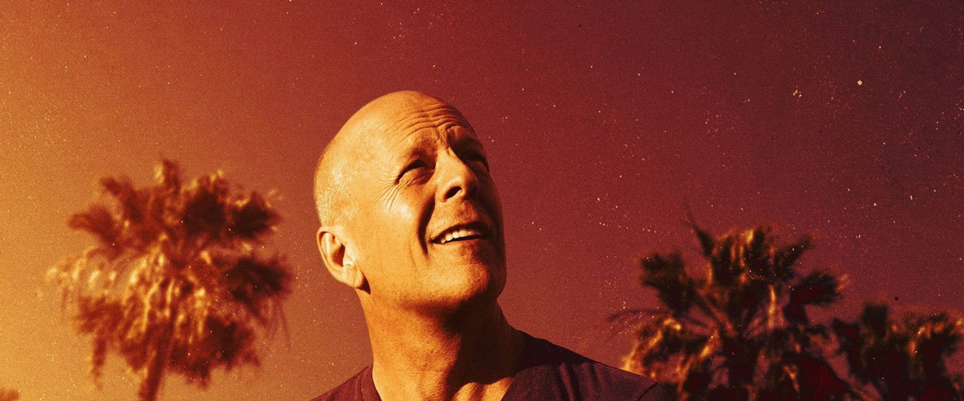 Bruce Willis, l'indestructible's banner image