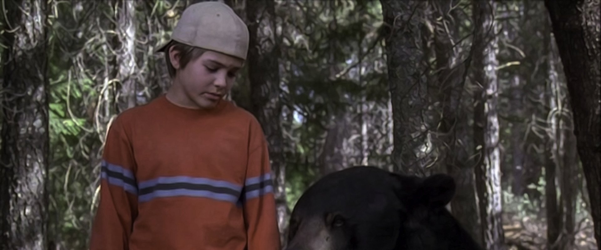 Gentle Ben