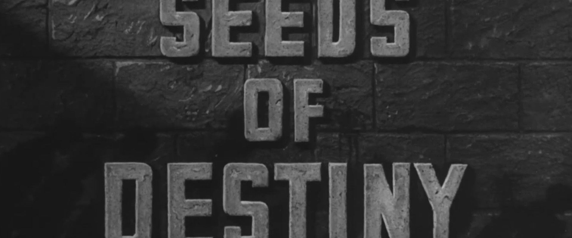 Seeds of Destiny's banner image