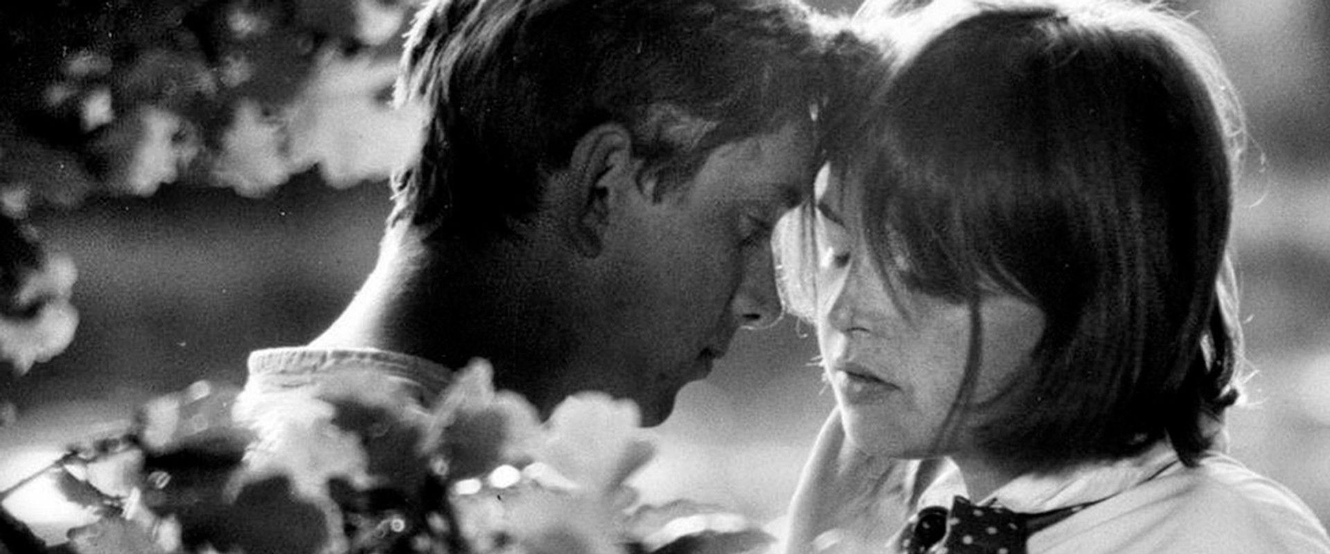 Romance for Bugle's banner image