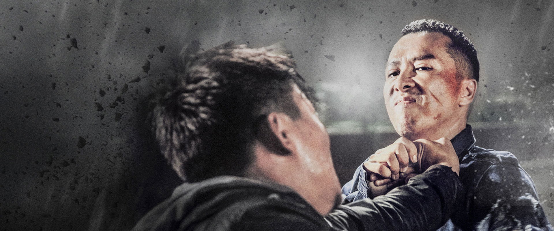 Kung Fu Jungle's banner image