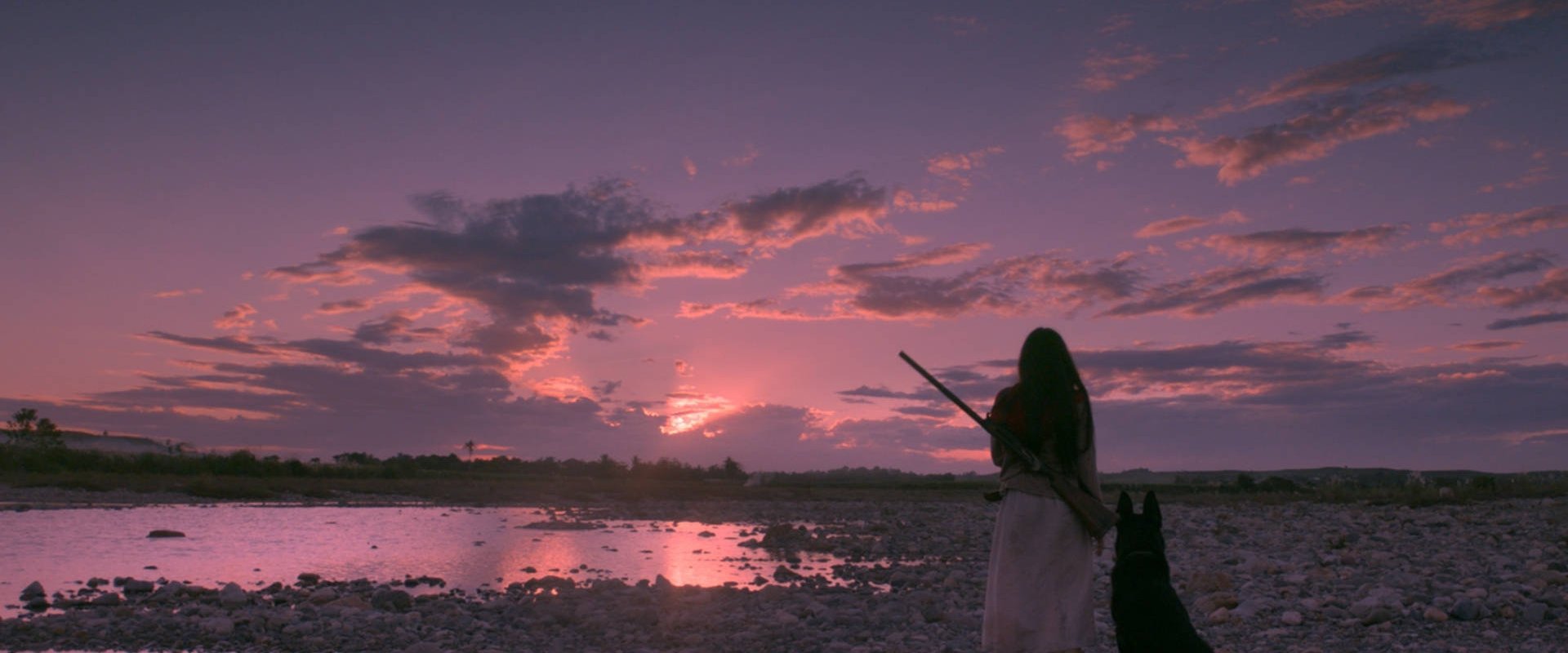 Birdshot