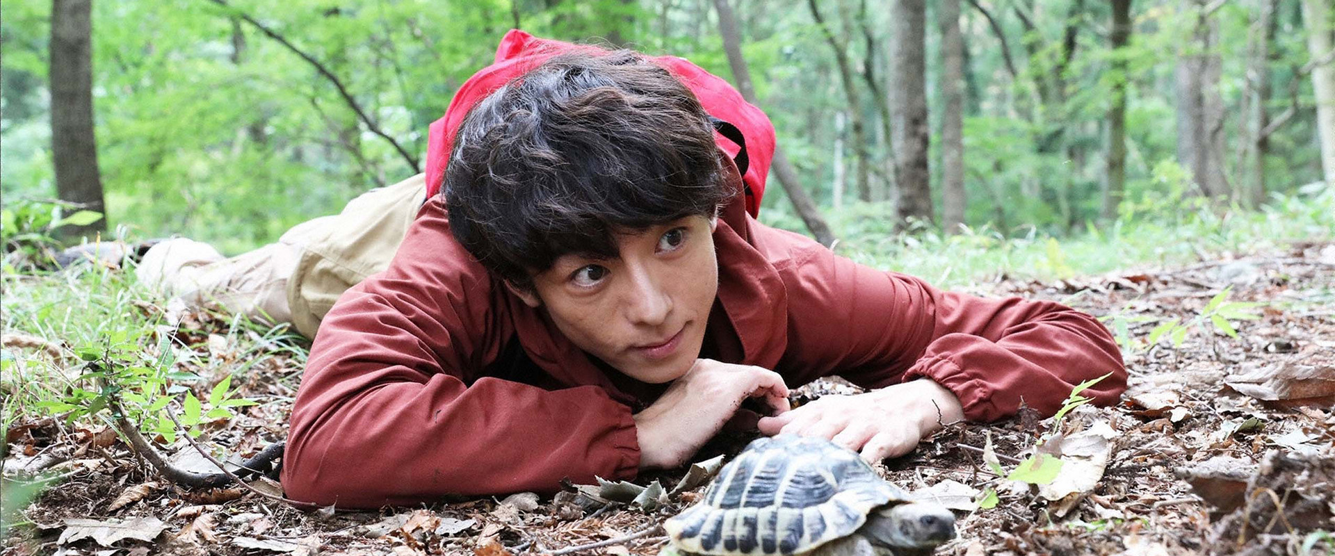 Miracles's banner image