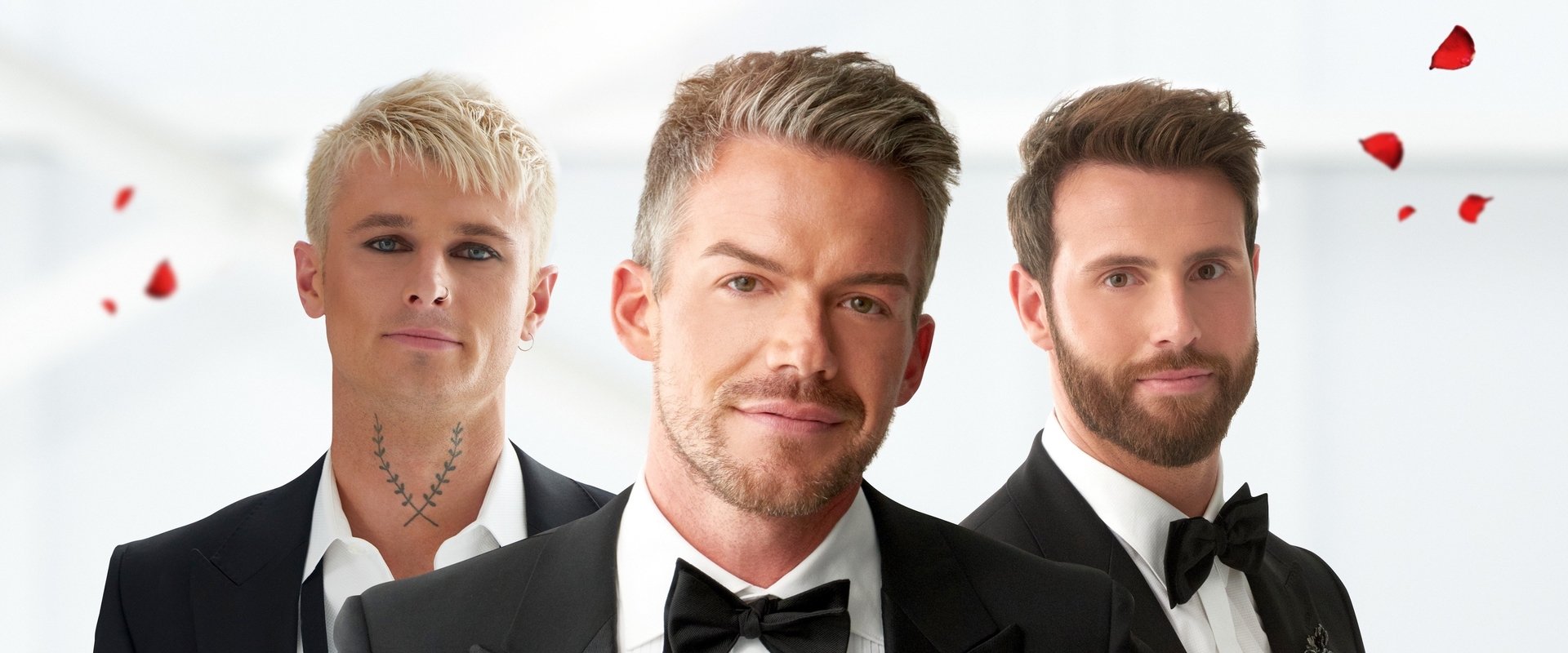 The Bachelor