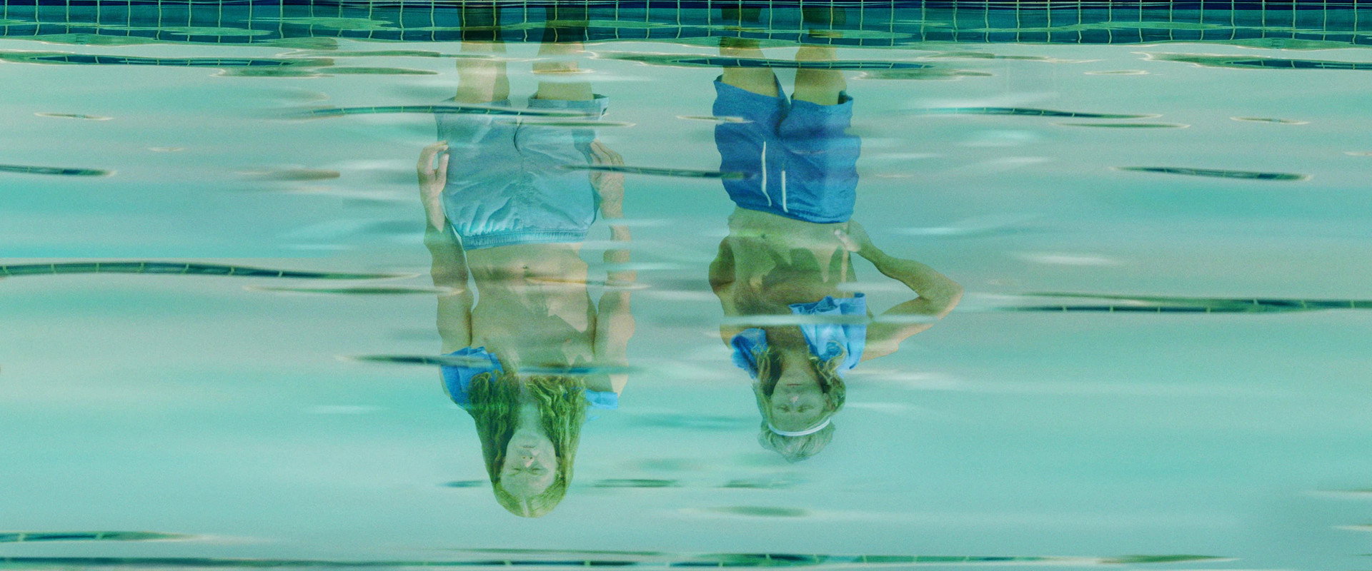 Agua Donkeys's banner image