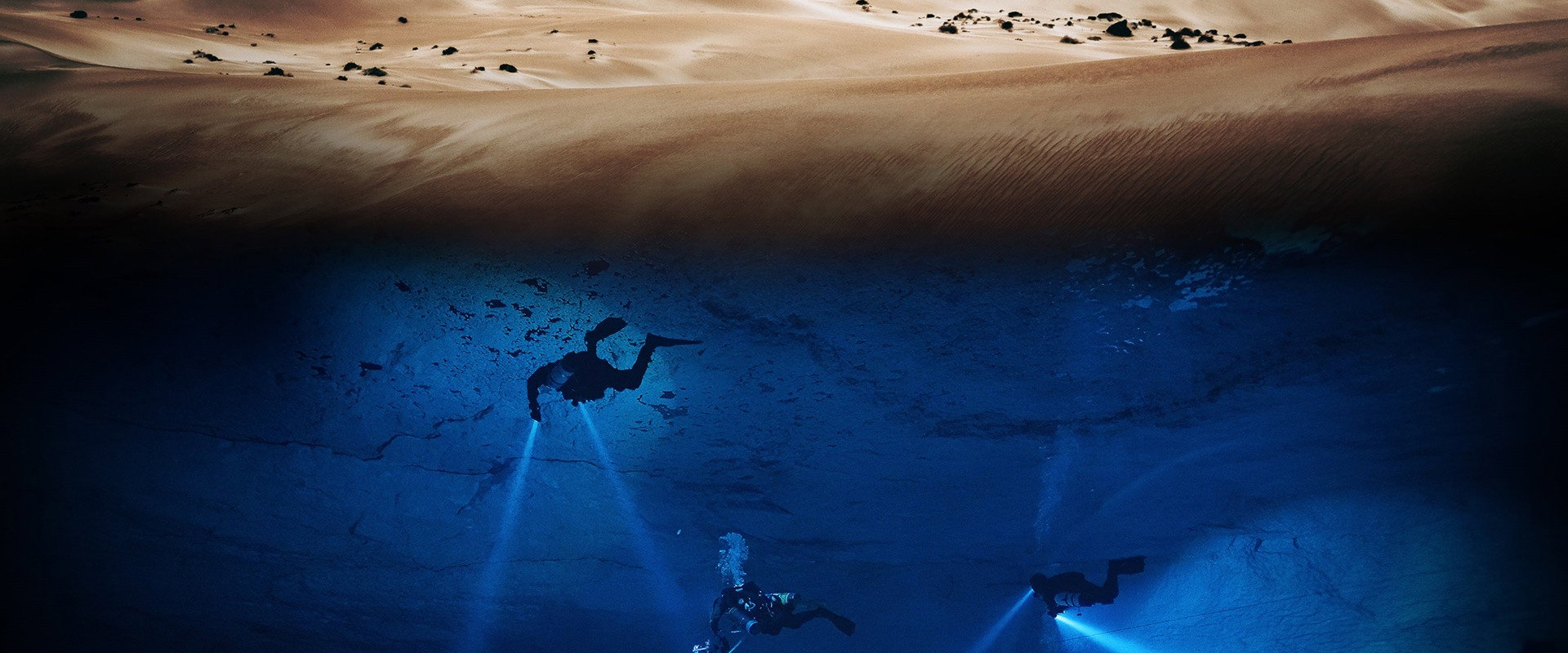 Australia's Wild Odyssey's banner image