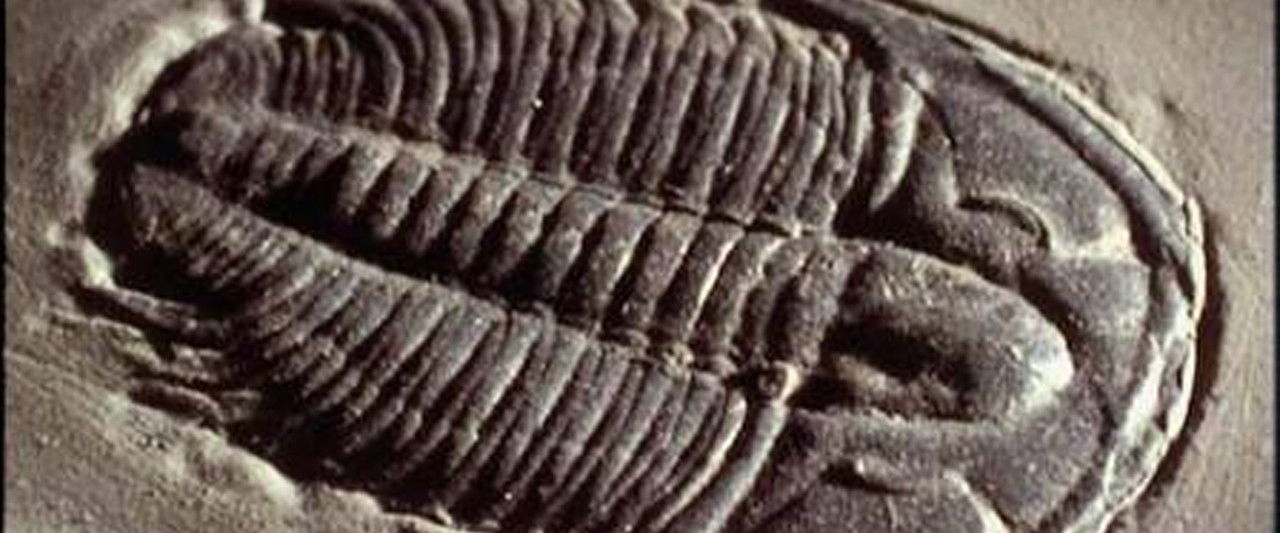 Lost Worlds, Vanished Lives