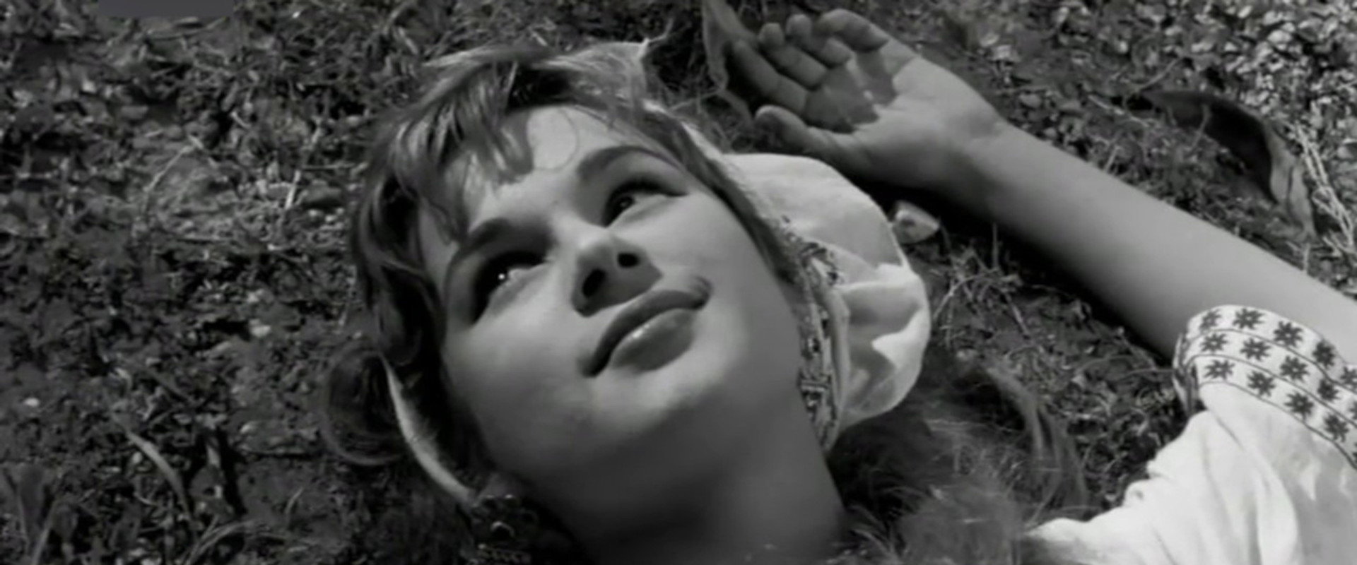 Maria Pentagiotissa's banner image