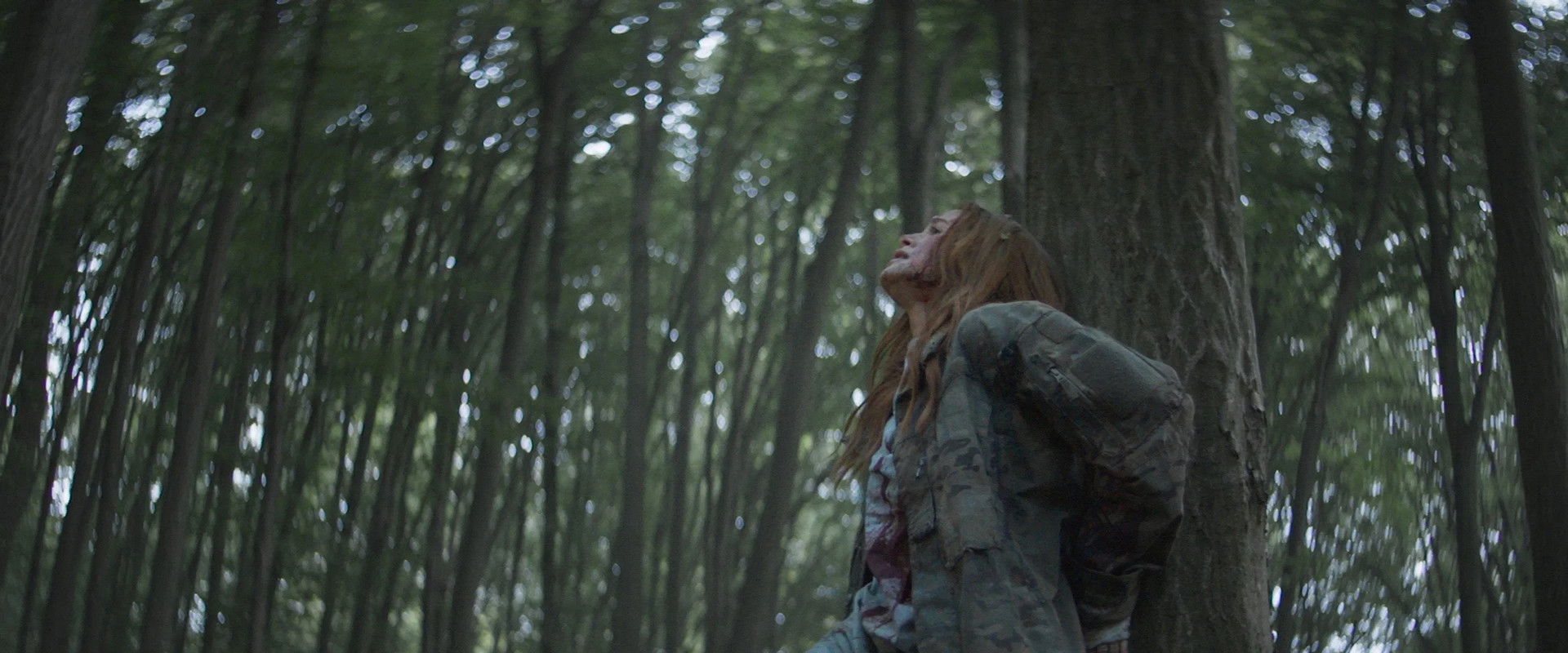 The Strangers's banner image