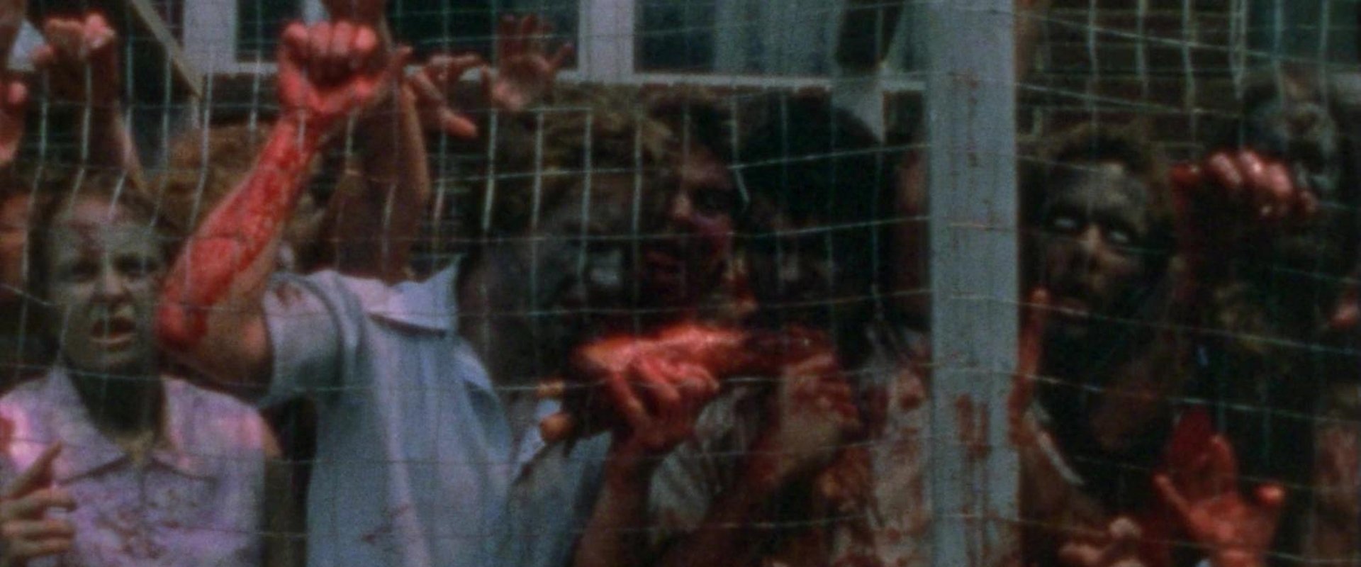 The Dead Next Door