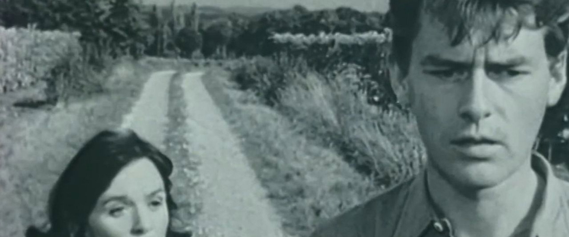 Alerte à Jonzac's banner image