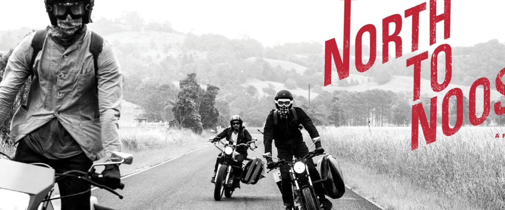 North To Noosa's banner image