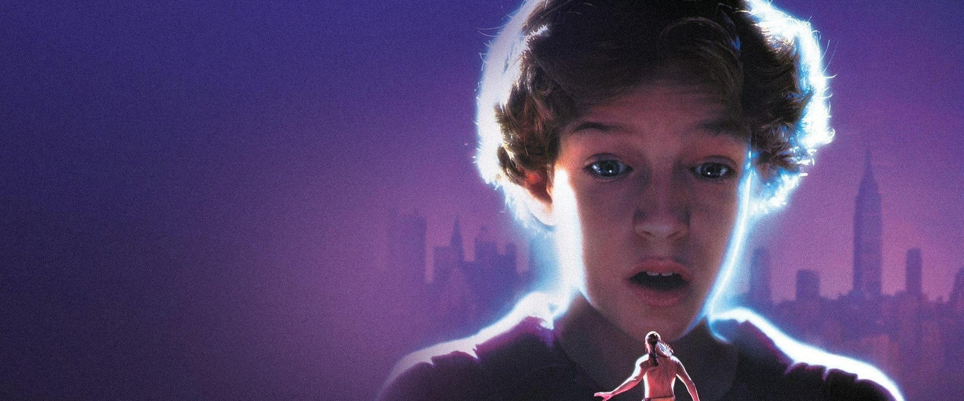 The Indian in the Cupboard