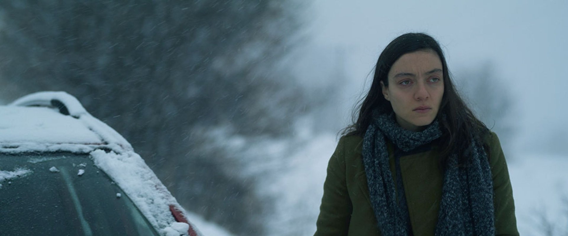 Snow and the Bear