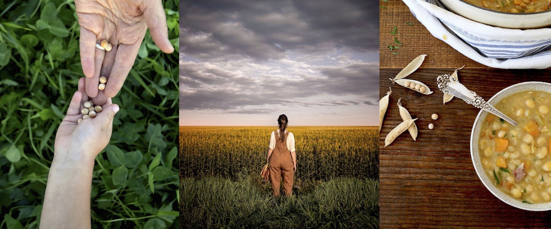 Modified's banner image