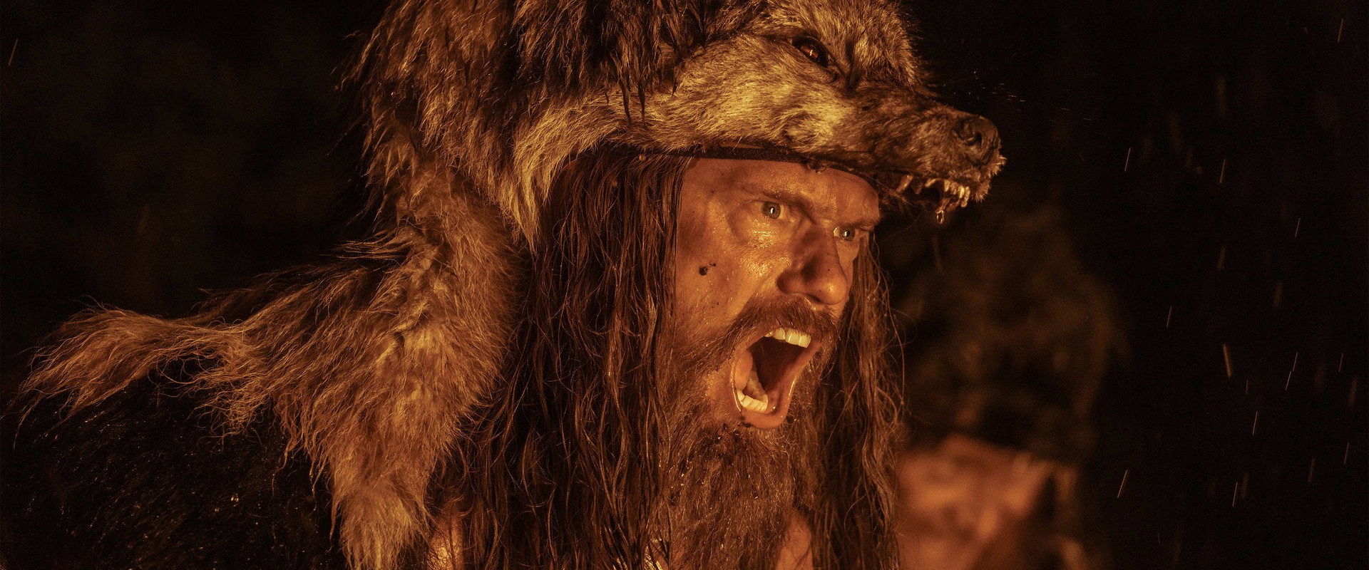 The Northman's banner image