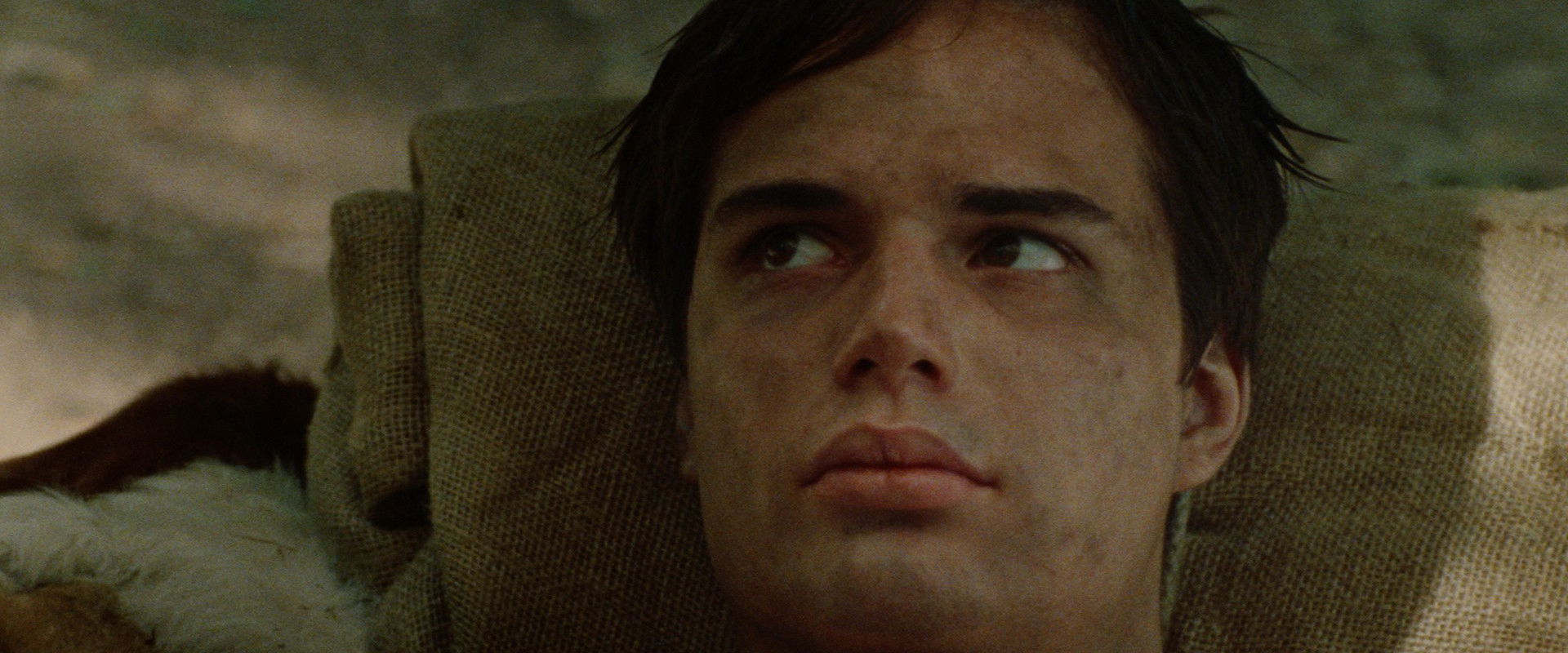 Guerilla's banner image