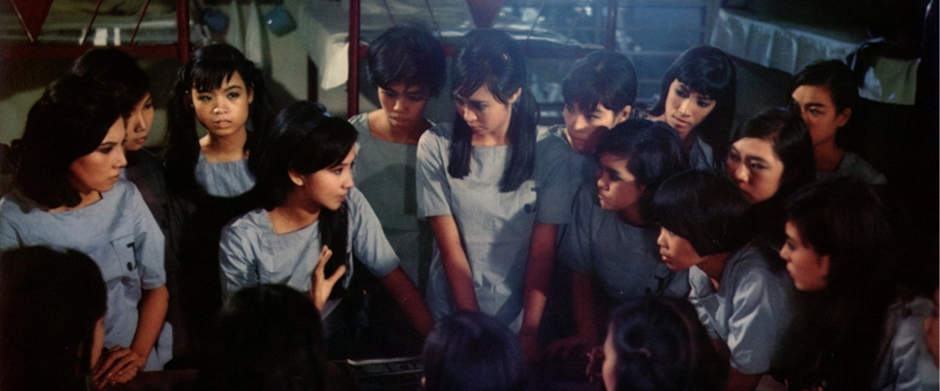 Teddy Girls's banner image