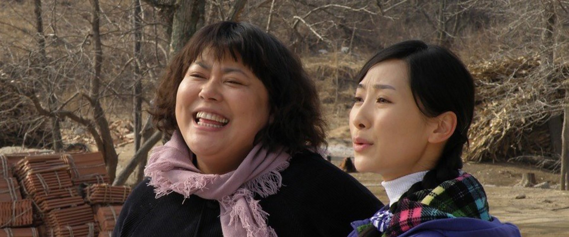 宝乐婶的烦心事