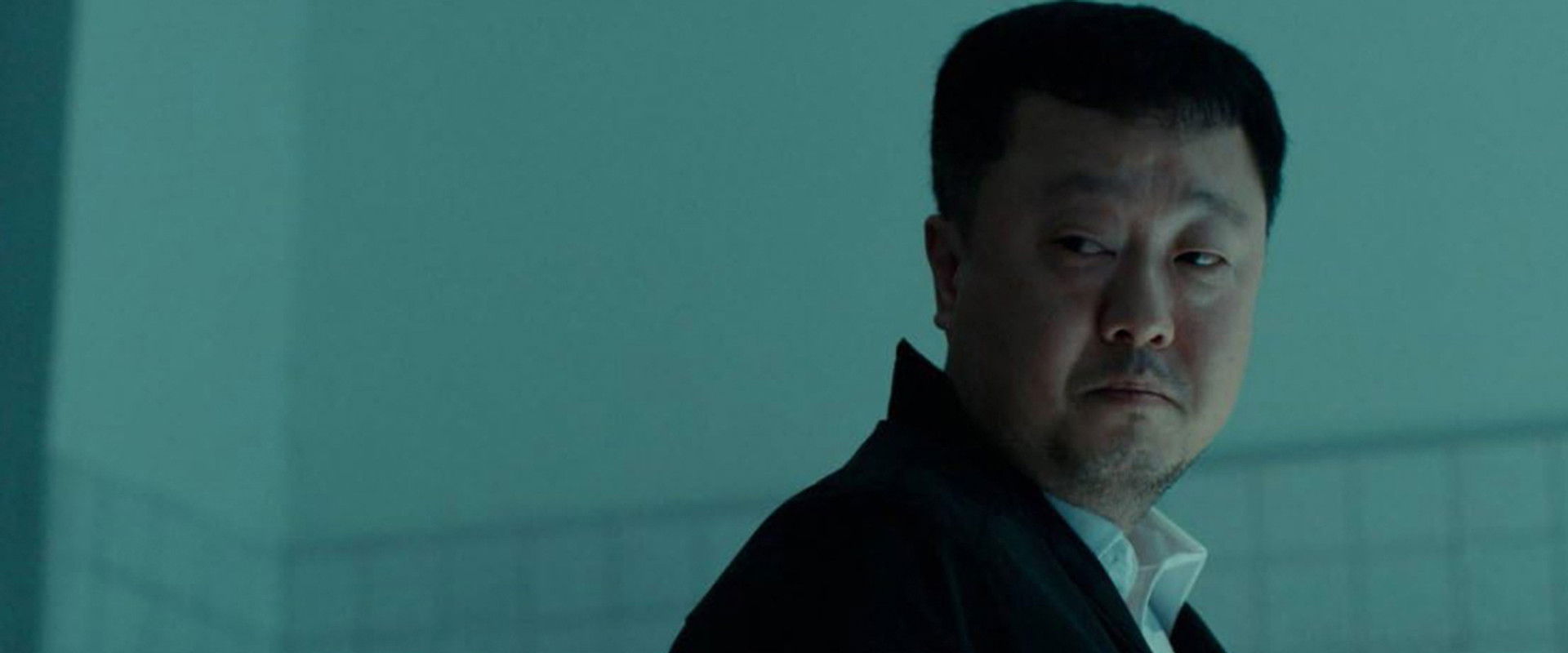 Swallow's banner image