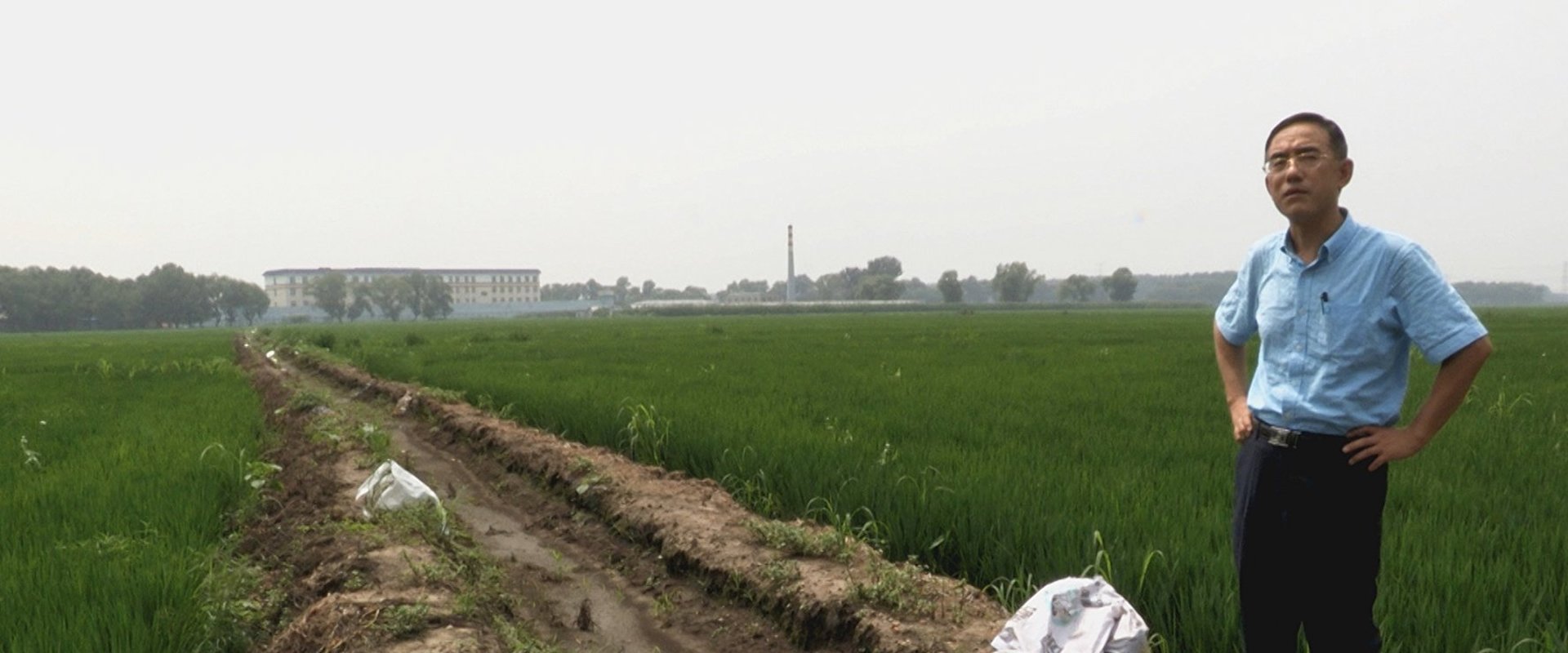 Letter from Masanjia