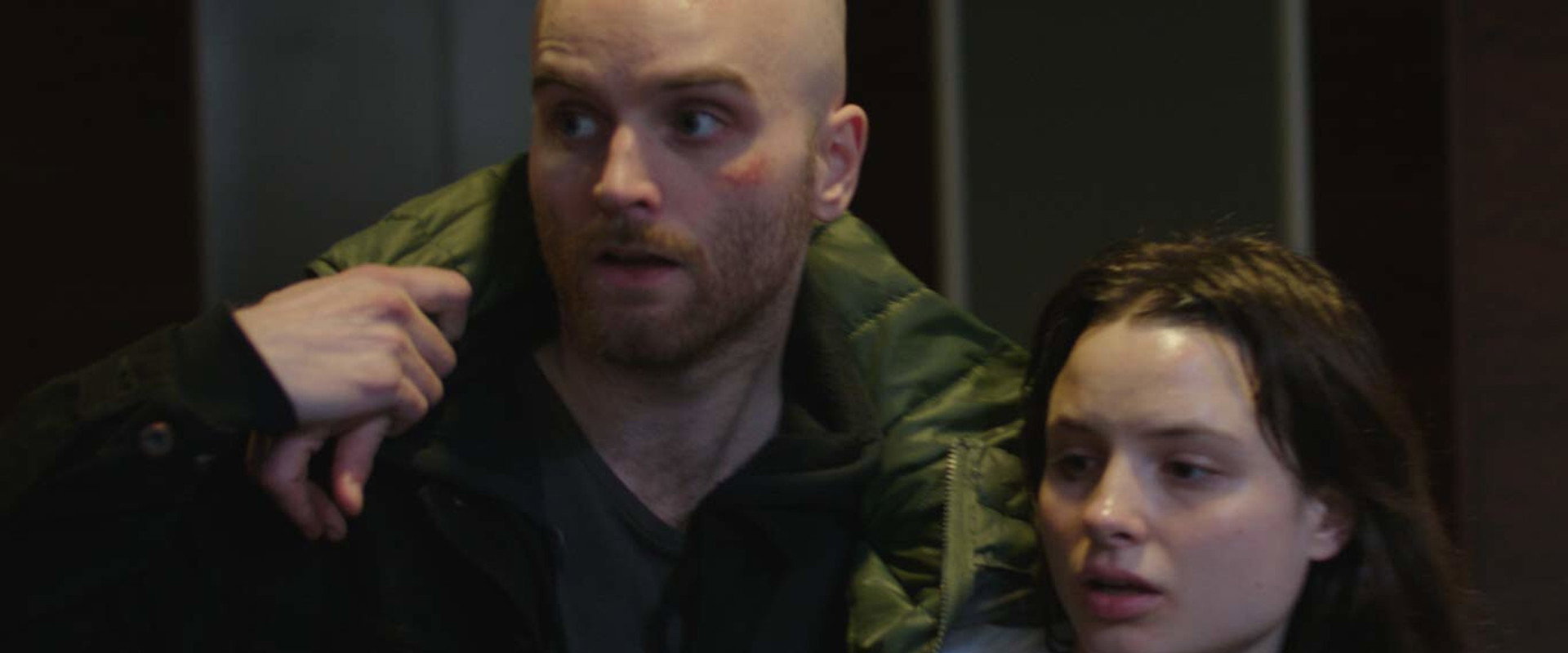 Vultures's banner image