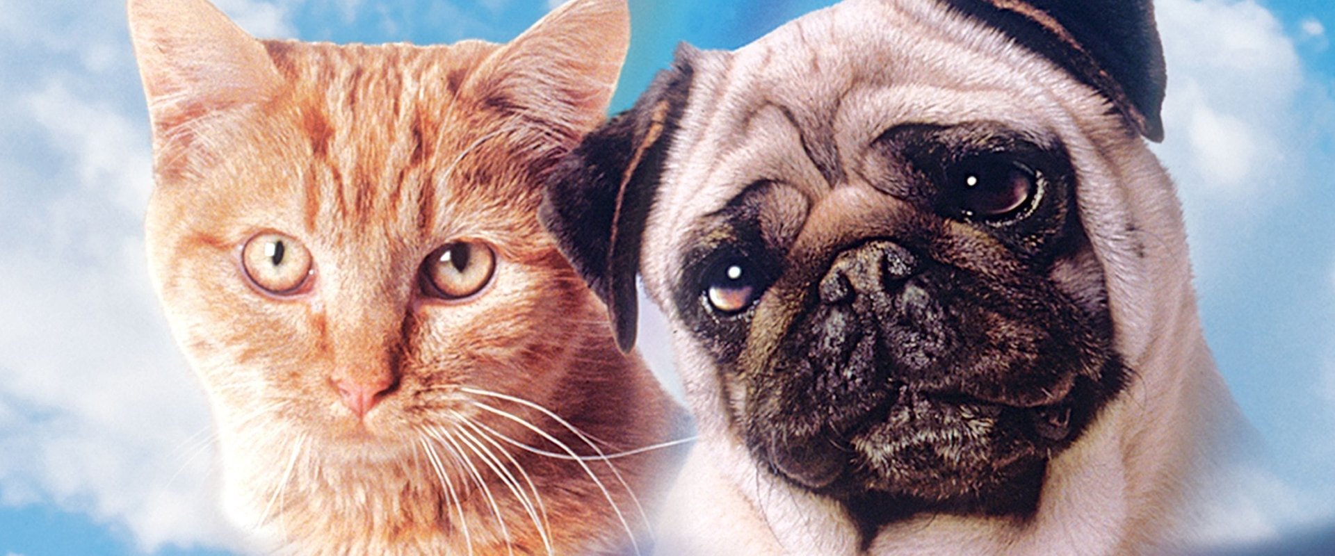 The Adventures of Milo and Otis