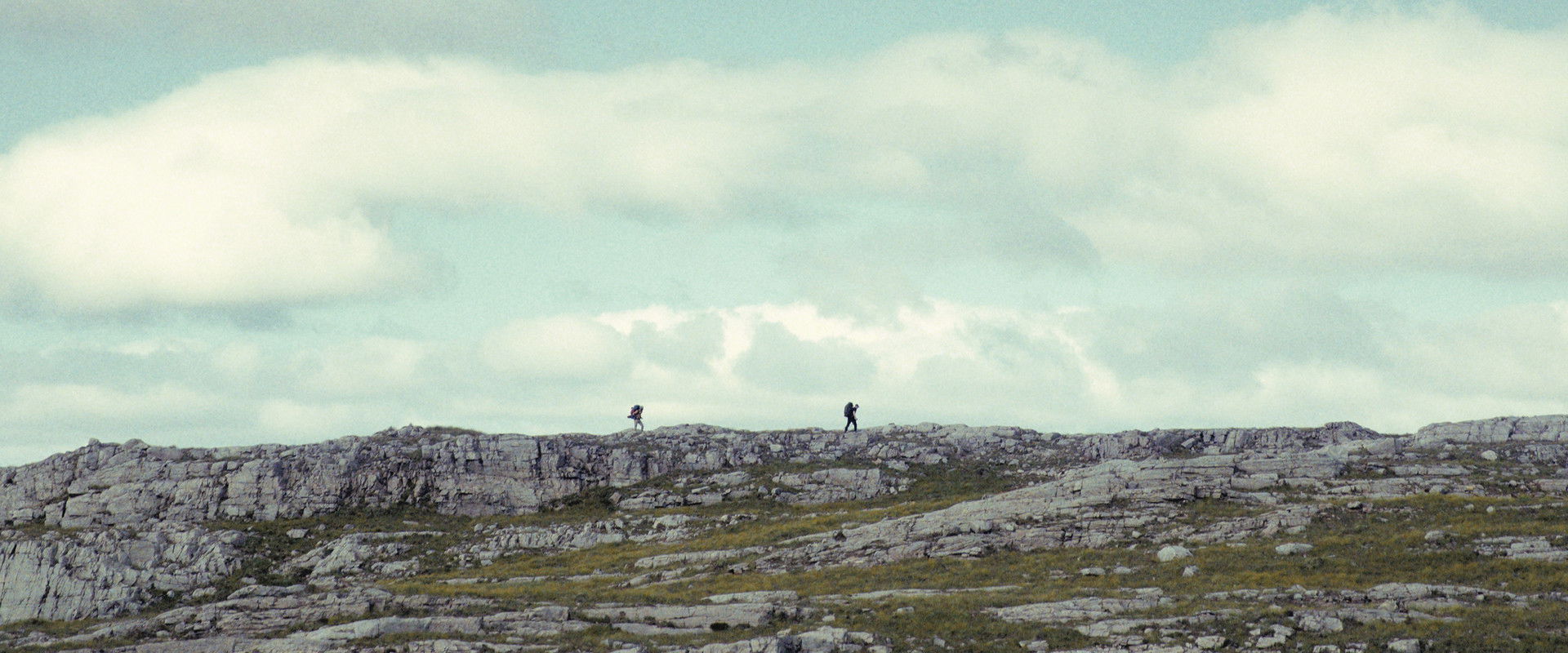 The North's banner image