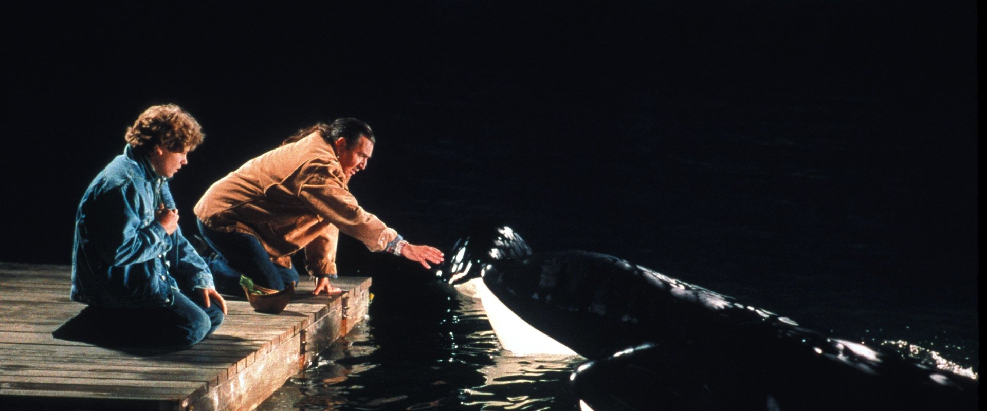 Free Willy 2: The Adventure Home