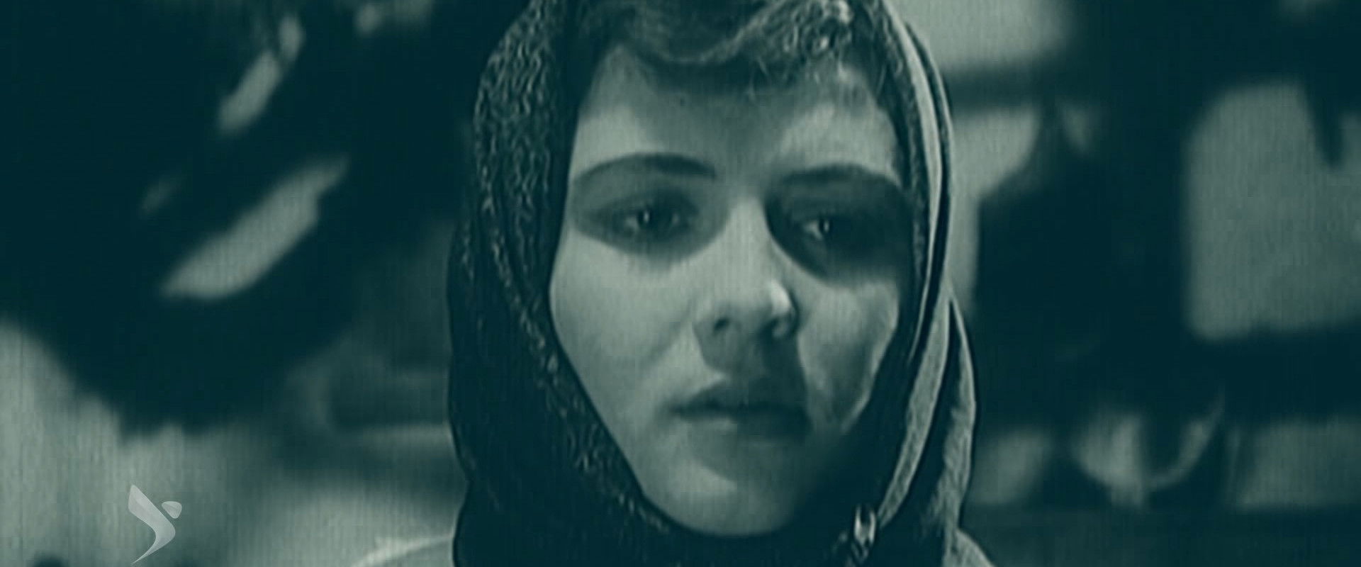 Our Land's banner image