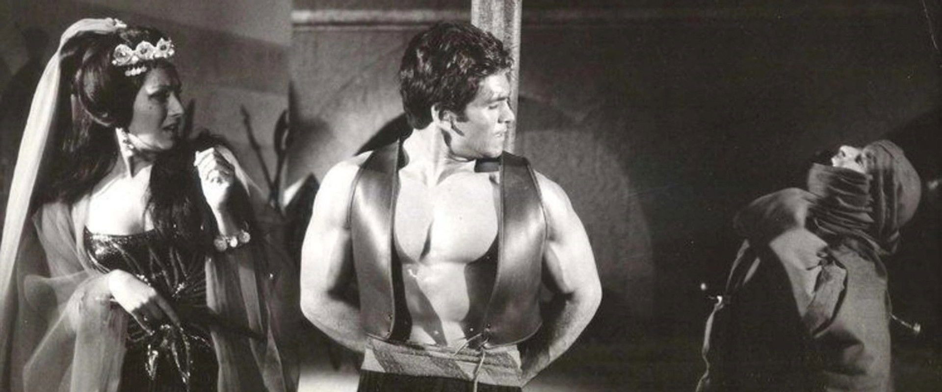 Slave Girls of Sheba's banner image