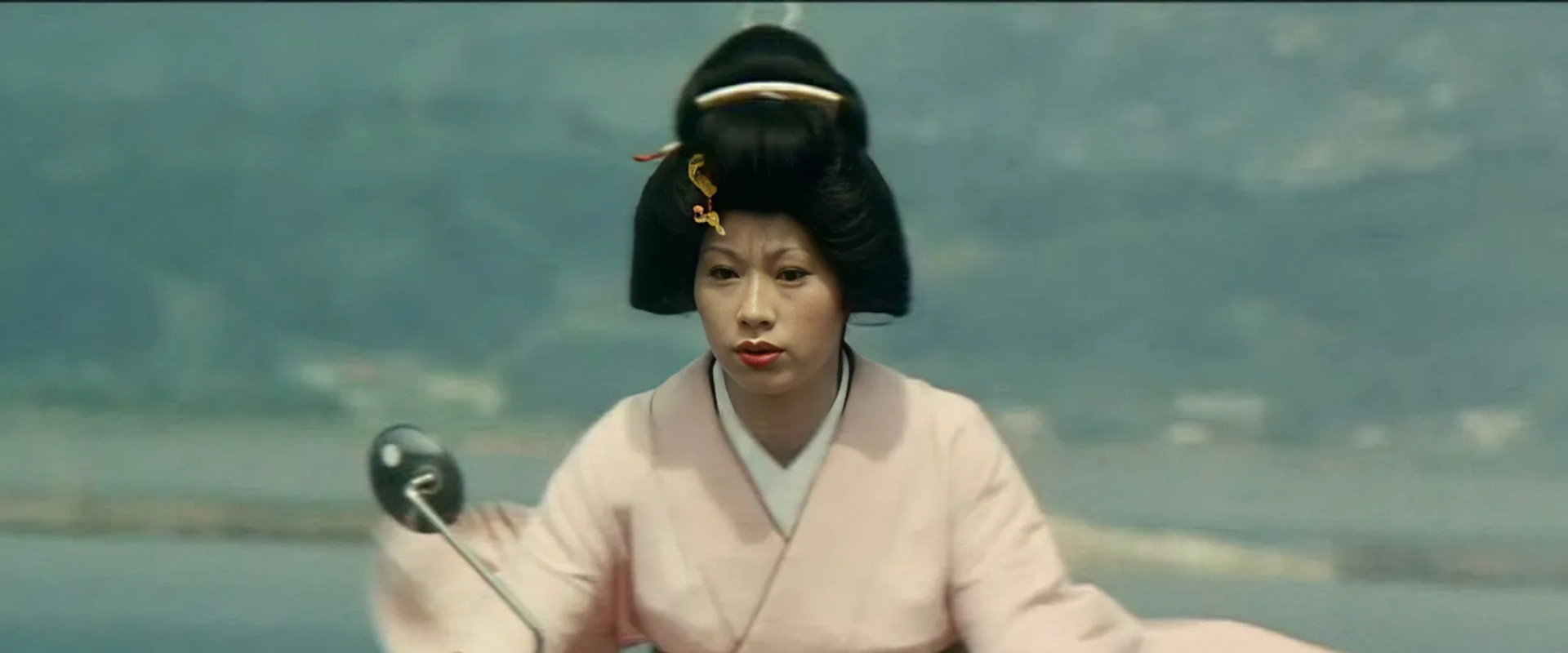 Turtle Geisha's banner image