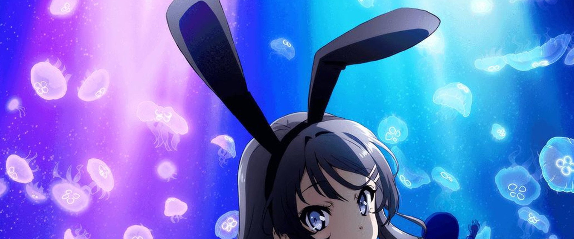 Rascal Does Not Dream of Bunny Girl Senpai