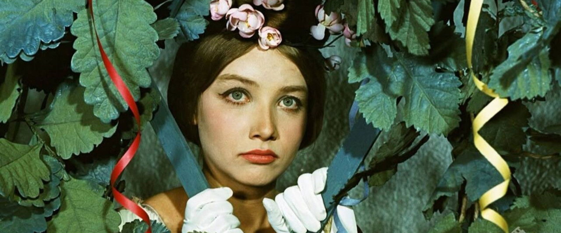 Klub kawalerów's banner image