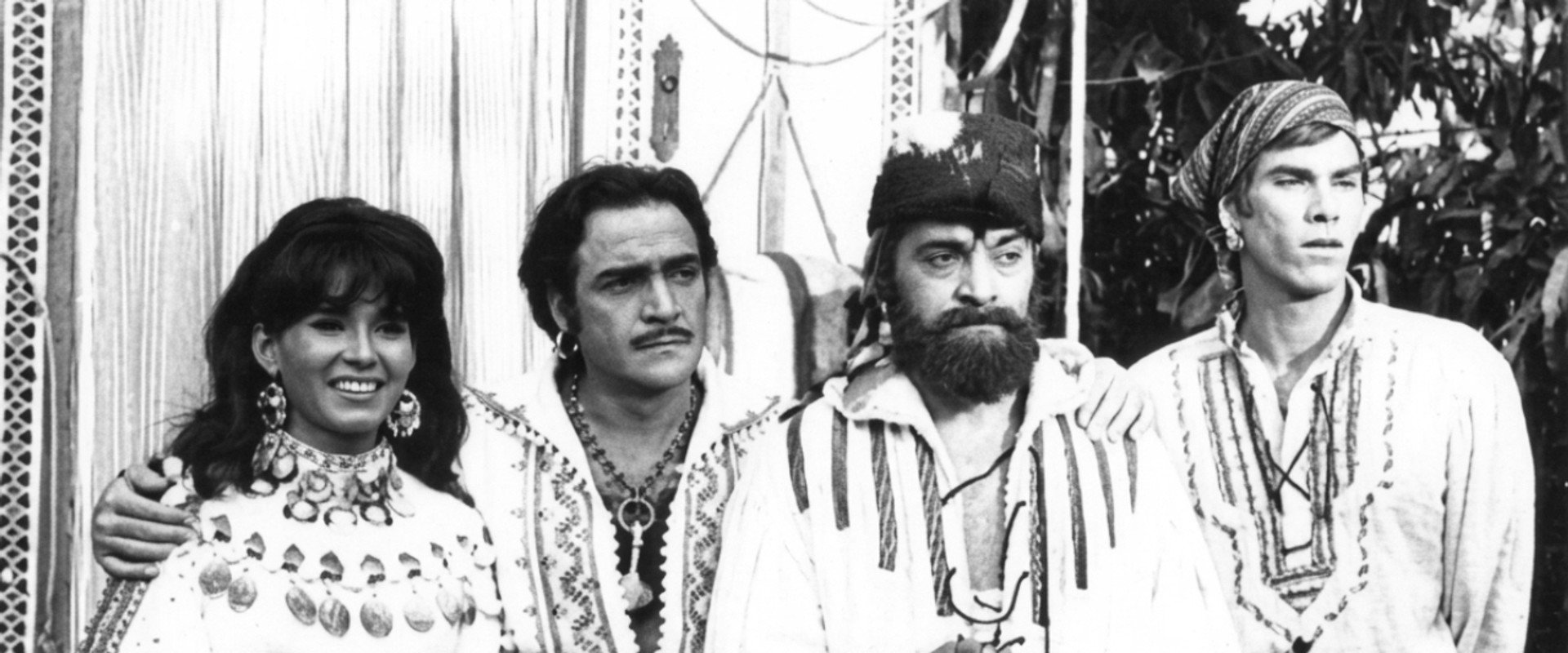 O Rei dos Ciganos's banner image