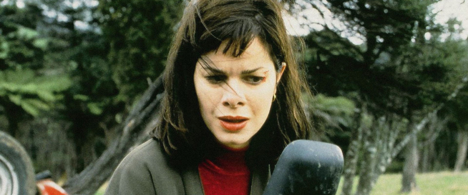 Crush's banner image