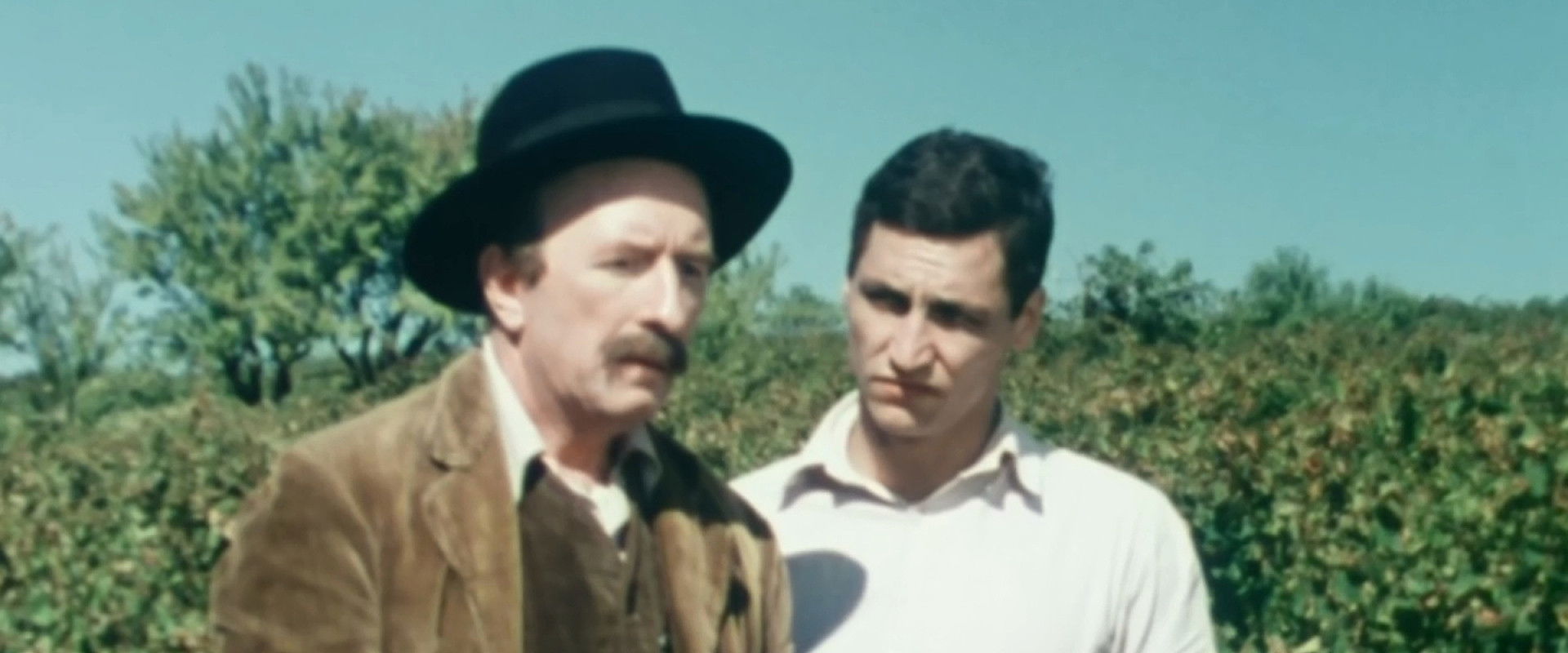 Ces grappes de ma vigne