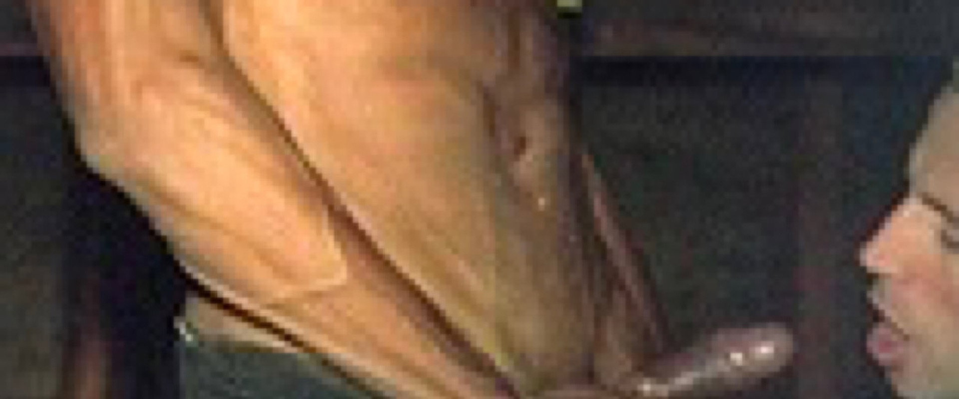Sticky Gloves's banner image