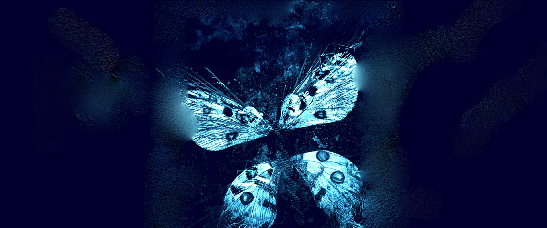 The Butterfly Effect 3: Revelations