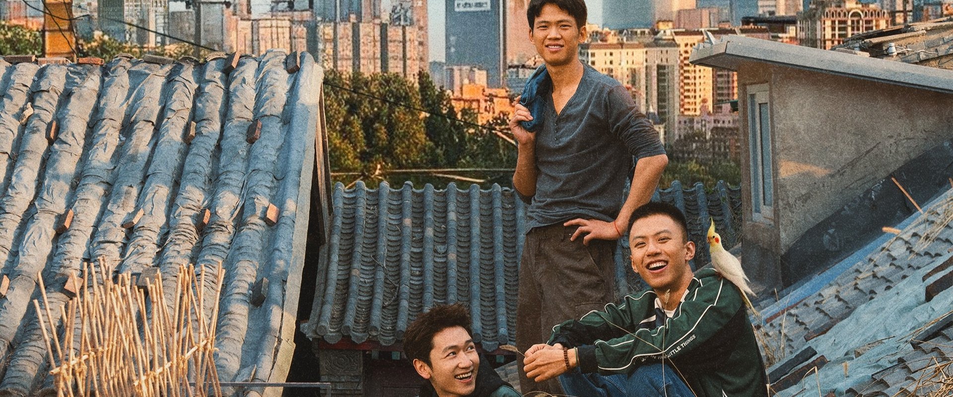 漂洋过海来送你