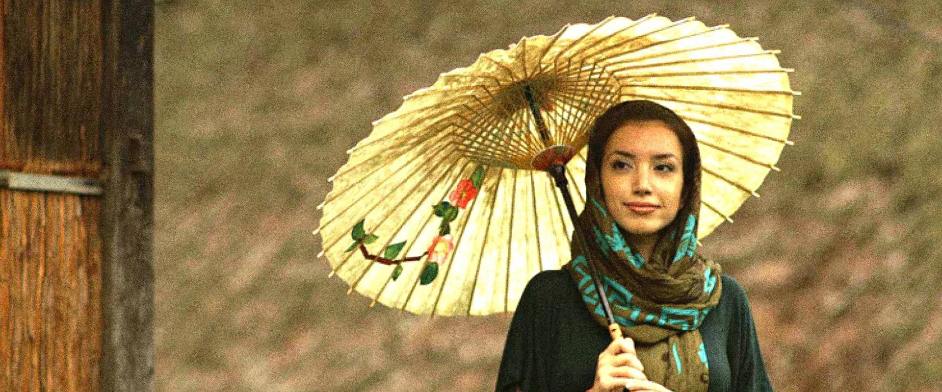 Journeys in Japan