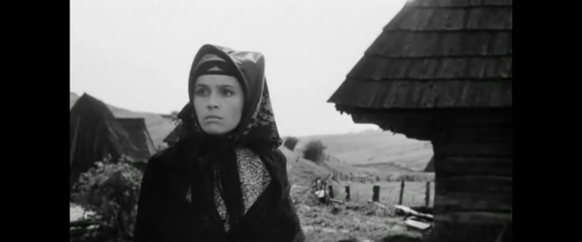 Living Whip's banner image