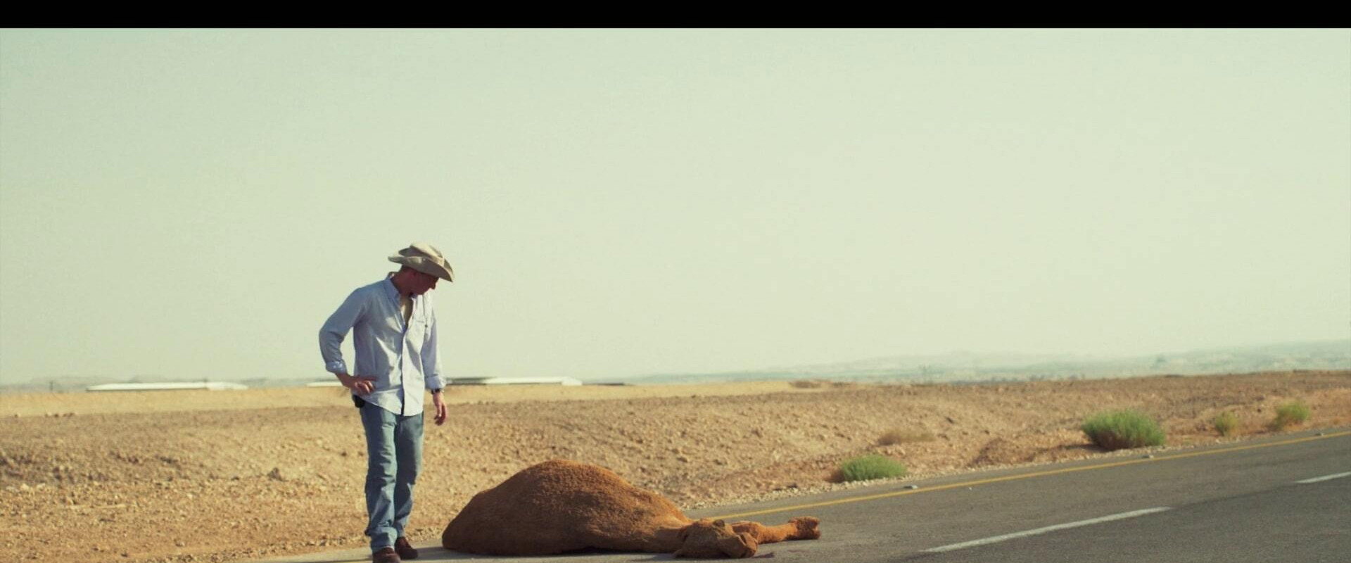 Kilometer 147's banner image