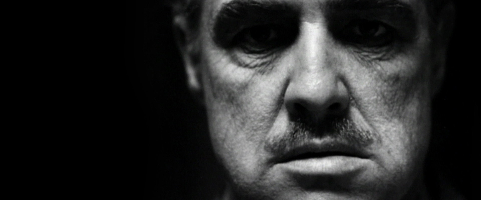 Marlon Brando: The Wild One's banner image
