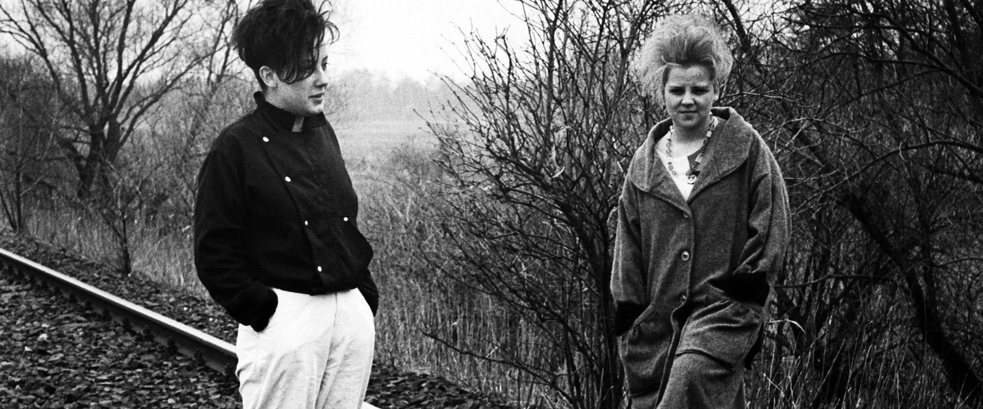 After Winter Comes Spring's banner image