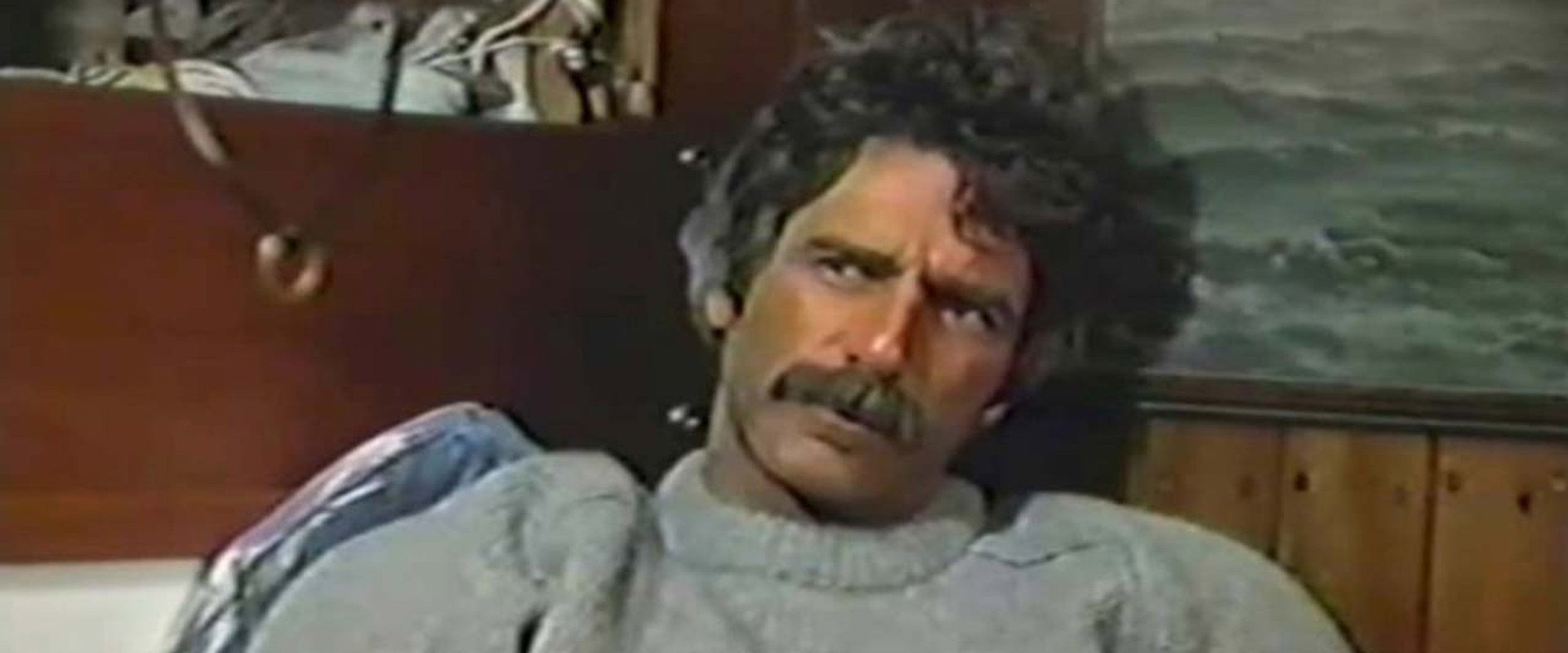 Travis McGee's banner image