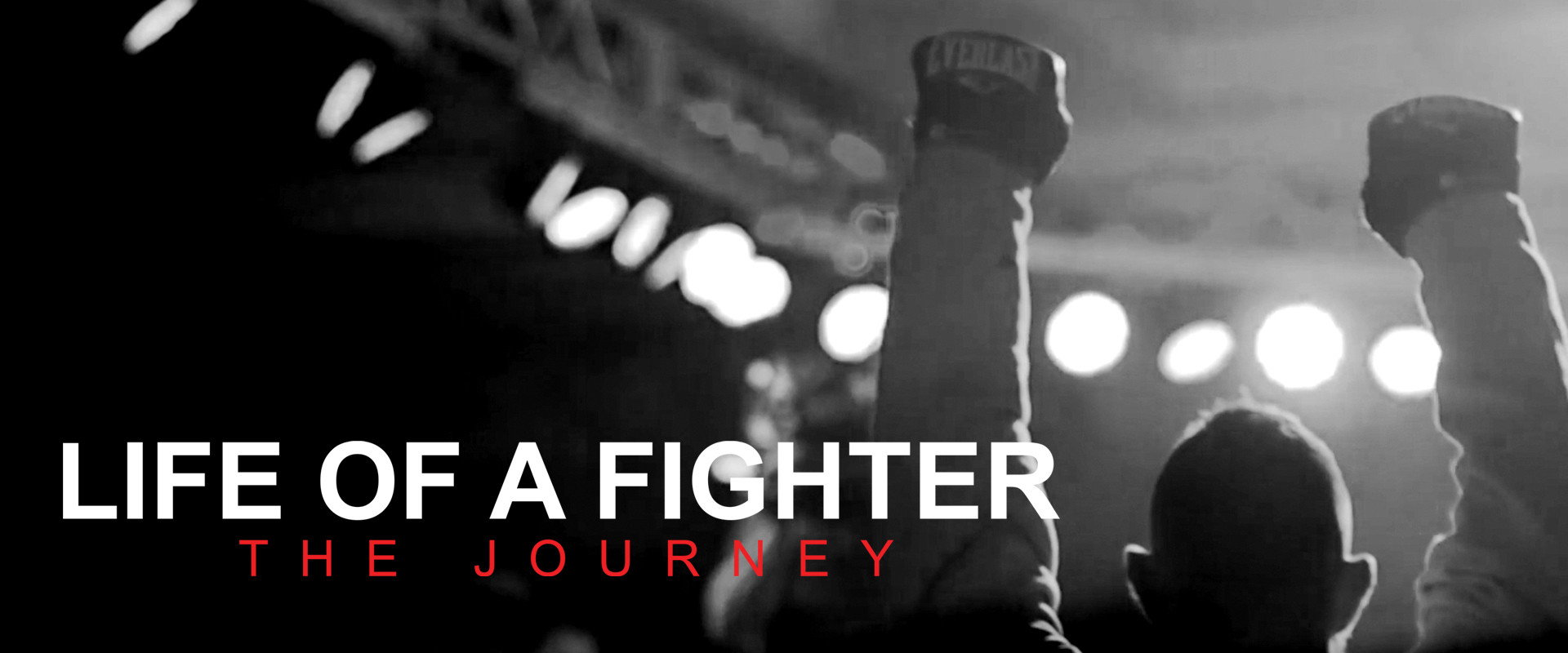 Life of a Fighter: The Journey's banner image