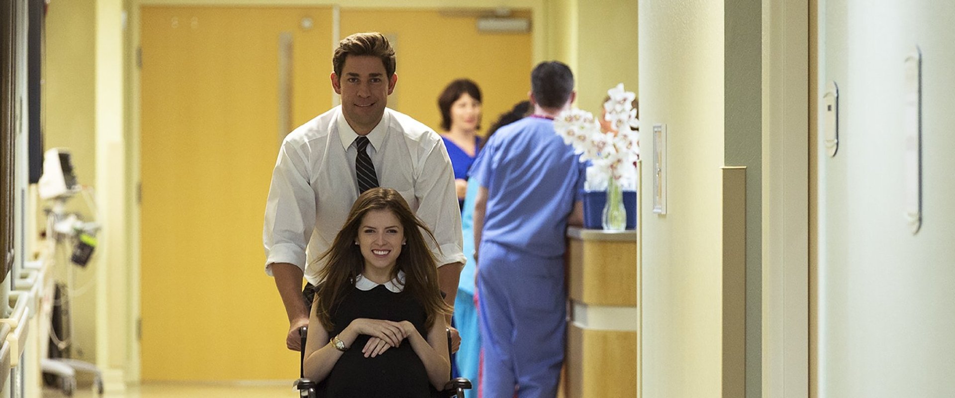 The Hollars