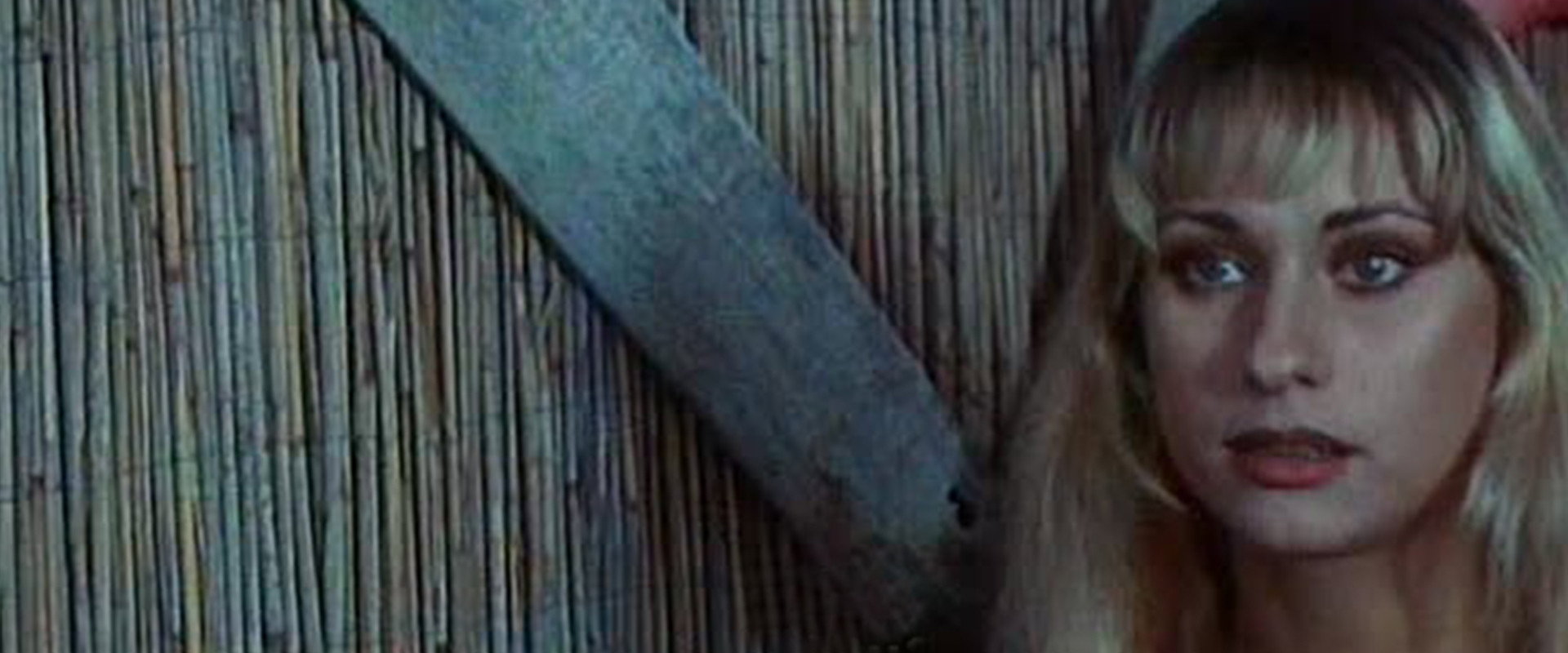 Hurry, the Schoolgirls Are Coming!'s banner image