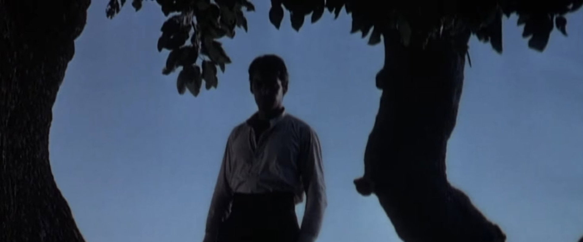 Way of a Gaucho's banner image